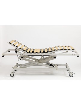 CAMA HOSPITALARIA ELEVABLE COMPLETA  PROMOCIÓN