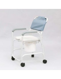 Silla de ducha e inodoro